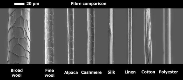 Cashmere vs Cotton, Wool, and Other Fabrics